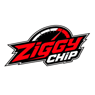 Ziggy Chip